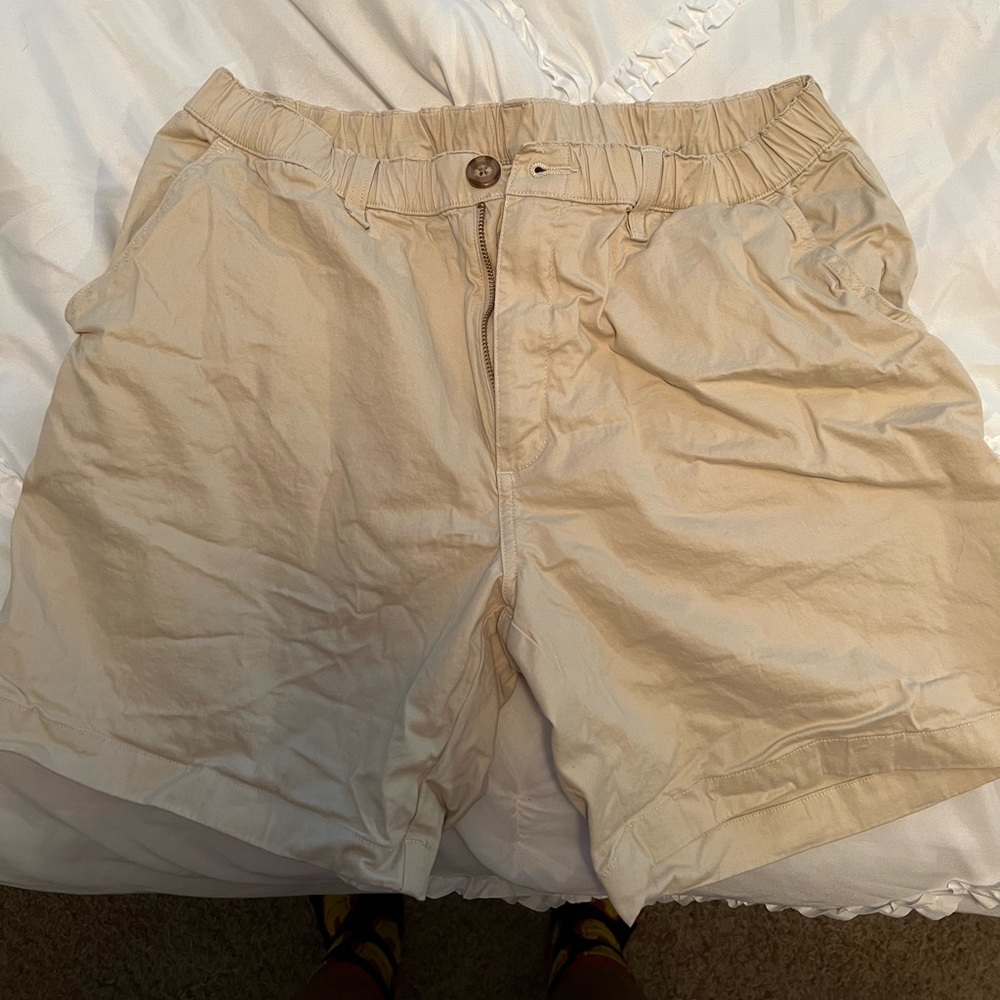 Chubbies Brand khaki shorts